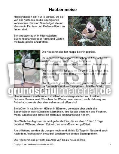 Steckbrief-Haubenmeise.pdf